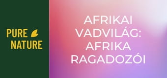 Afrikai vadvilág: Afrika ragadozói - Sakálok és hiénák