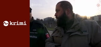 Policajné prípady S2E49 - Útek od rodičov, Láska nebeská, Pohľadnice, Karneval