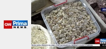 Estetika bez cenzury