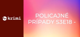 Policajné prípady S3E18 - Stratené dievča, Stratená žena, Rýchlosť kvôli pôrodu, Rodinná záležitosť