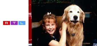 Úton hazafelé - Egy hihetetlen utazás