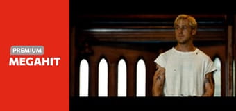 Za borovicovým hájom