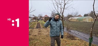 Netradičné recepty E12 - Domáca šunka s čili medom a Tiramisu veterníky