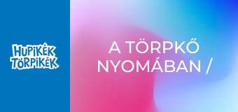 A törpkő nyomában / Törpföldön A törpkő nyomában / Törpföldön
