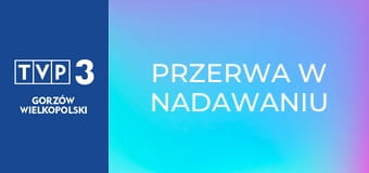 Przerwa w nadawaniu