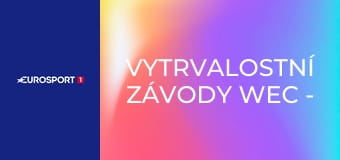 Vytrvalostní závody WEC - 8 hodin v Bahrajnu