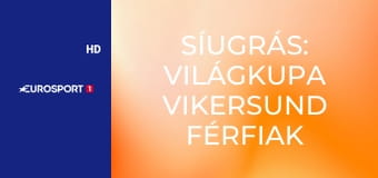 Síugrás: Világkupa Vikersund férfiak - HS240 Selejtező
