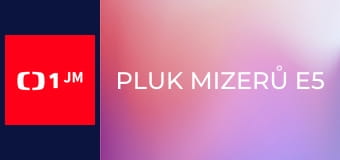 Pluk mizerů E5