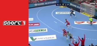 Házená - Veszprém - Sporting