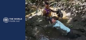 Cesta na ostrov Marajó a lov mangrovových krabov. Brazília.