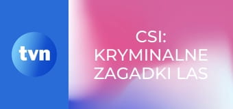 CSI: Kryminalne zagadki Las Vegas S12E9 - Zippered