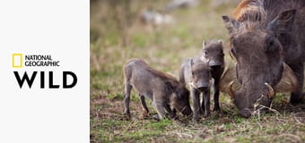 Instinkty zabijáka S1E5 - Zrozen k běhu