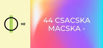 44 csacska macska - Lina mama születésnapja