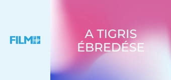 A tigris ébredése