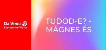 Tudod-e? - Mágnes és Plüss mackó Tudod-e? - Mágnes és Plüss mackó