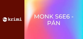 Monk S6E6 - Pán Monk a zakopaný poklad