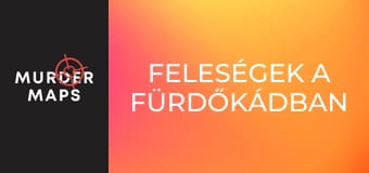Feleségek a fürdőkádban Feleségek a fürdőkádban