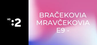 Bračekovia mravčekovia E9 - Súdok