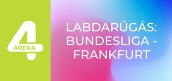 Labdarúgás: Bundesliga - Frankfurt – Freiburg