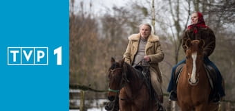 Teatr Telewizji - Rewizor