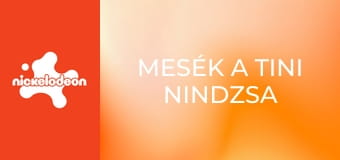 Mesék a tini nindzsa teknőcökről S1E9 - Szecska és April küzdelme az aranyhallal Mesék a tini nindzsa teknőcökről S1E9 - Szecska és April küzdelme az aranyhallal