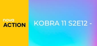 Kobra 11 S2E12 - Loupeživý rytíř