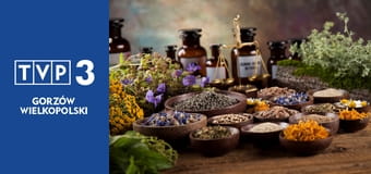 Zielnik regionalny E7