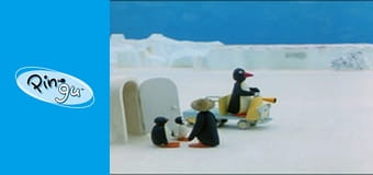 The Pingu Show Sezon 1 Odcinek 67