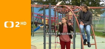 Televizní klub neslyšících