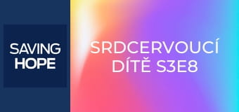 Srdcervoucí dítě S3E8