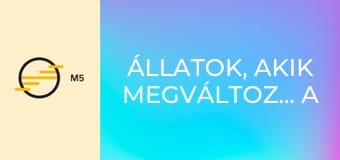 Állatok, akik megváltoztatták a történelmet E4 - Társaink