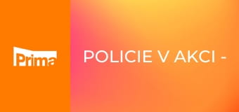 Policie v akci - Internetoví nadšenci / Podezřelý muž / Znamení válečníka / Ukradená Octavka