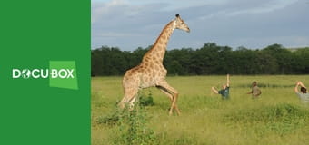 Szkoła łapania dzikich zwierząt S1E4