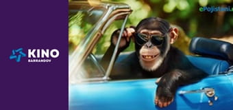 Co bude dnes k večeři?