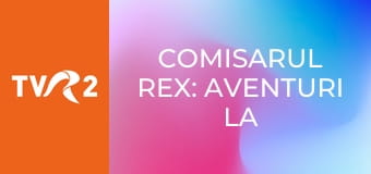 Comisarul Rex: aventuri la Viena E97