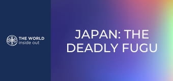 Japonsko: smrteľné ryby fugu a mesto robotov. Japonsko: smrteľné ryby fugu a mesto robotov.