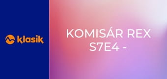 Komisár Rex S7E4 - Štvornohý svedok