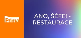 Ano, šéfe! - Restaurace Pí local – Písek