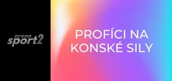 Profíci na konské sily