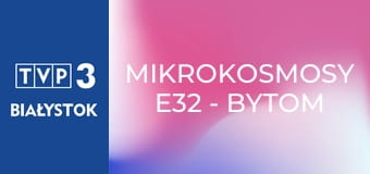 Mikrokosmosy E32 - Bytom Bobrek
