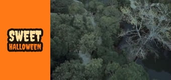 Проклятието на спящата красавица Проклятието на спящата красавица