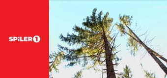 Favágók S1E3 - Lesújtó viharszezon 