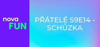 Přátelé S9E14 - Schůzka naslepo