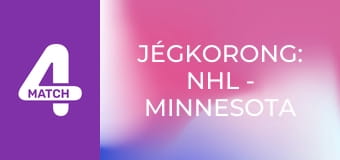 Jégkorong: NHL - Minnesota Wild – Dallas Stars