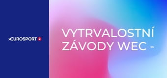 Vytrvalostní závody WEC - 24 hodin Le Mans