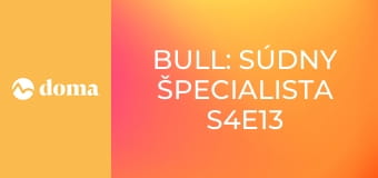 Bull: Súdny špecialista S4E13
