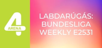 Labdarúgás: Bundesliga Weekly E2531