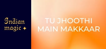 Tu Jhoothi Main Makkaar