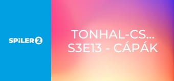 Tonhal-csaták S3E13 - Cápák és rekreáció