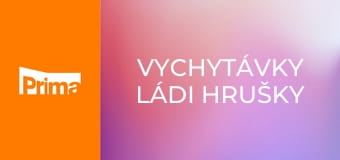 Vychytávky Ládi Hrušky